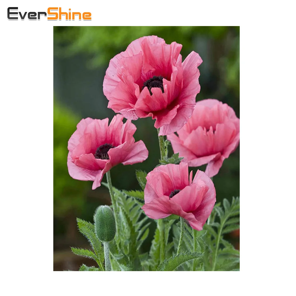 

EverShine Diamond Embroidery Flowers Full Square Diamond Painting Floral Picture Cross Stitch Diamond Mosaic Home Decoration