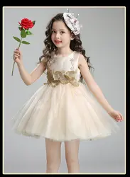 2017 Обувь для девочек Кружево платье принцессы с цветочным рисунком Детские Розовая Одежда с бантом платья дизайнерский детский