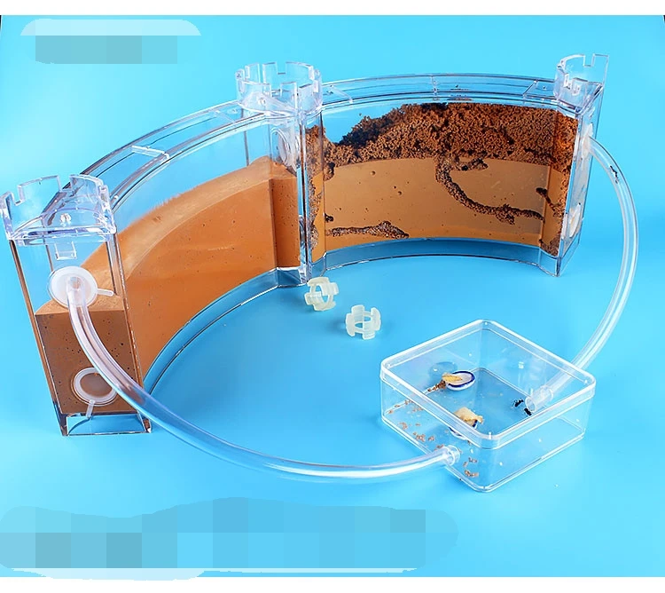 big-ant-house (7)