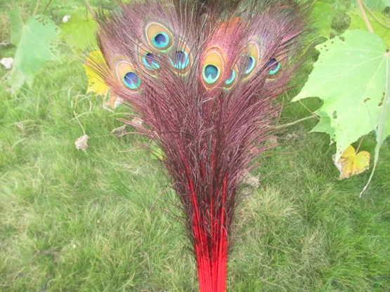 10 шт./партия павлиньи перья длина 80-90 см красивые натуральные перья павлина Diy Свадьба, гостиная, украшенная ваза для цветов - Цвет: red