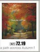 AeProduct.getSubject ()