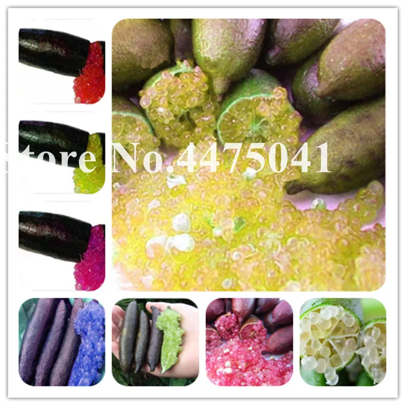 

Finger Limes Citrus Bonsai, 20 Pcs Rare Pomegranate Fruit Bonsai Delicious Sweet Fruit For Home Garden Plant Mix Colors