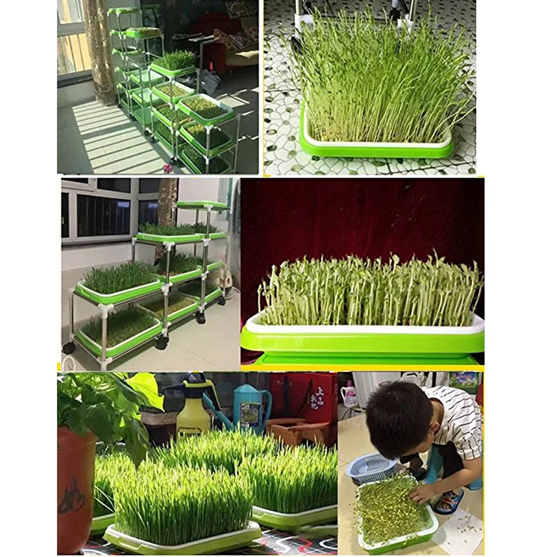 

Double-Layer Plant Nursery boxs Hydroponics Tray Seed Sprout Plate Plant Germination Tray Grow Box Vegetable Seeding Tray Case