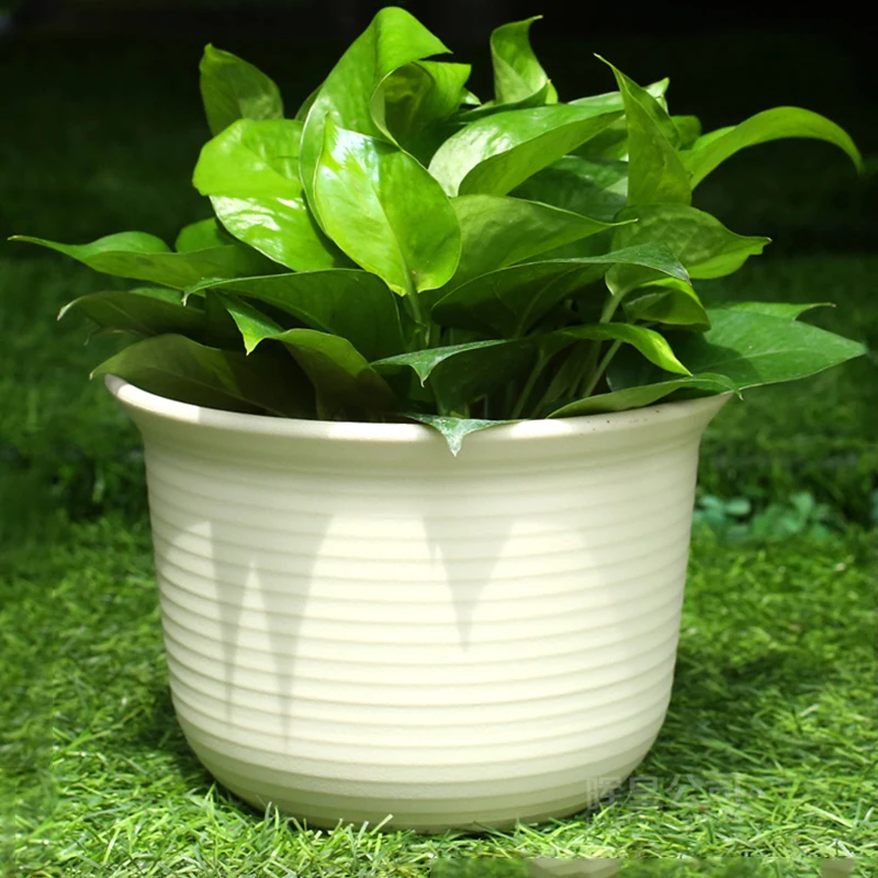 

6 pcs big size pots Balcony kitchen succulent plants flower pot plastic flower vegetable nursery pots home garden decoraion