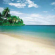 Голубое небо кокосовое дерево пляж фотографии фонов реквизит для фотостудии фон 5x7ft