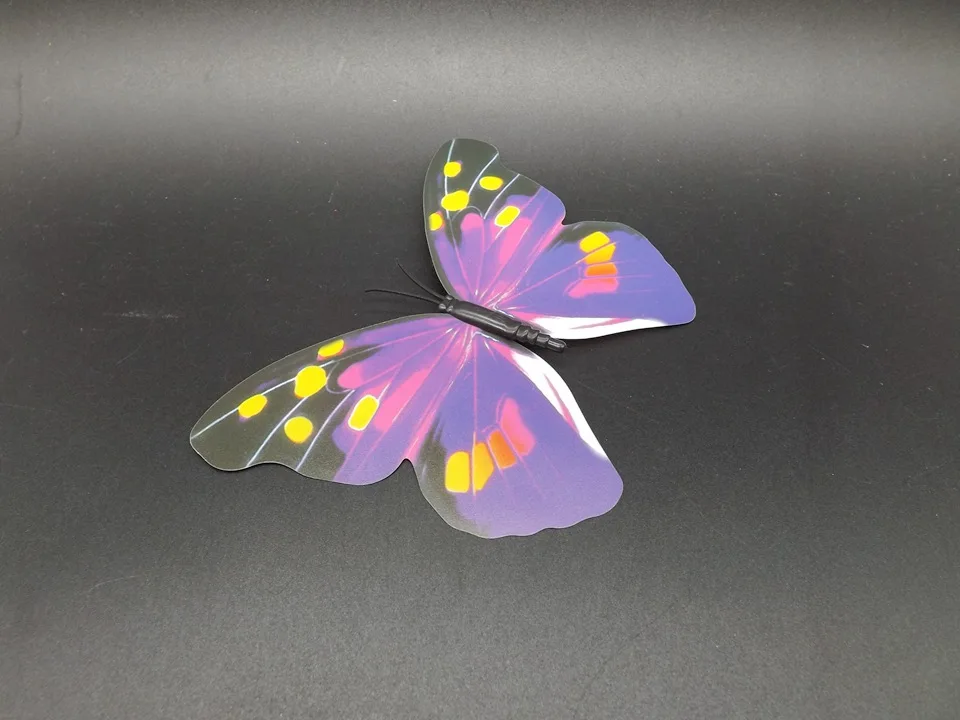 I193-Butterfly (6)
