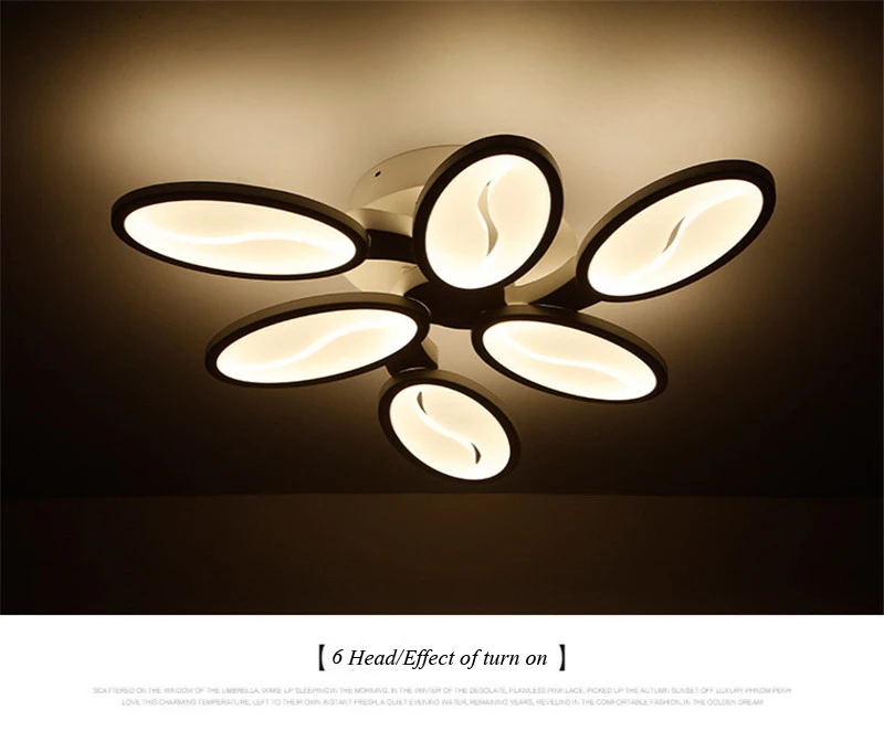 Post modern ceiling lamp (24)