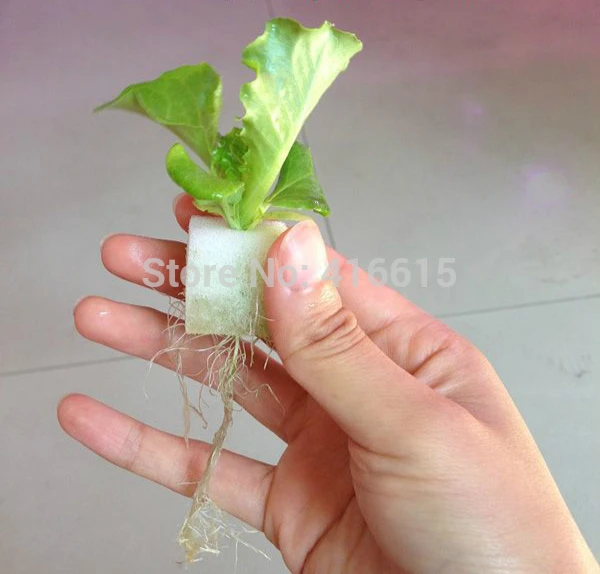 Foam Cubes For Starting Seeds Nursery Sponge For Hydroponics System