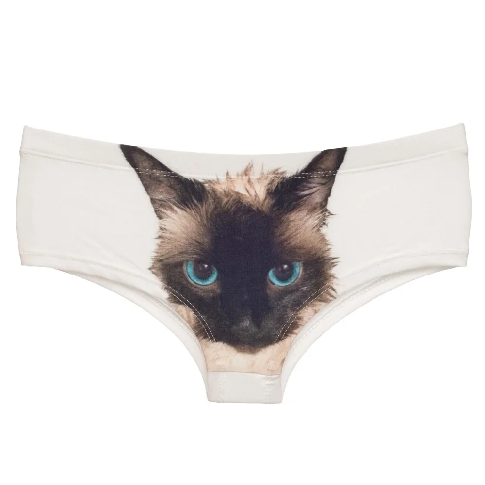 37065 WET CAT (3)