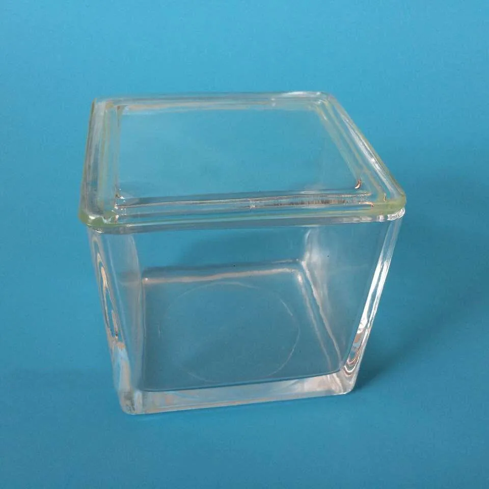 2 шт./партия Высококачественная стеклянная банка для окрашивания может вместить 30 шт. предметное стекло лабораторные Расходники