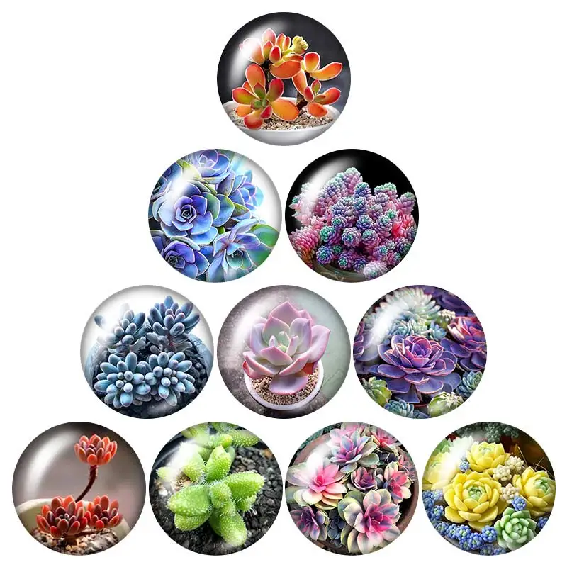 

Beauty succulent plant Flowers 10pcs mixed 12mm/16mm/18mm/25mm Round photo glass cabochon demo flat back Making findings ZB1092