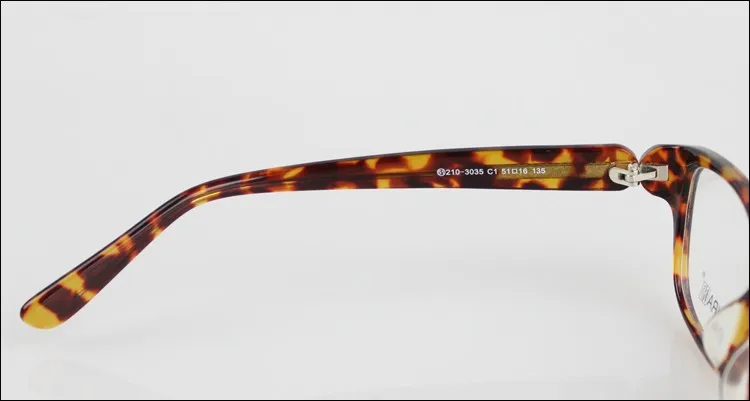 Tortoiseshell5