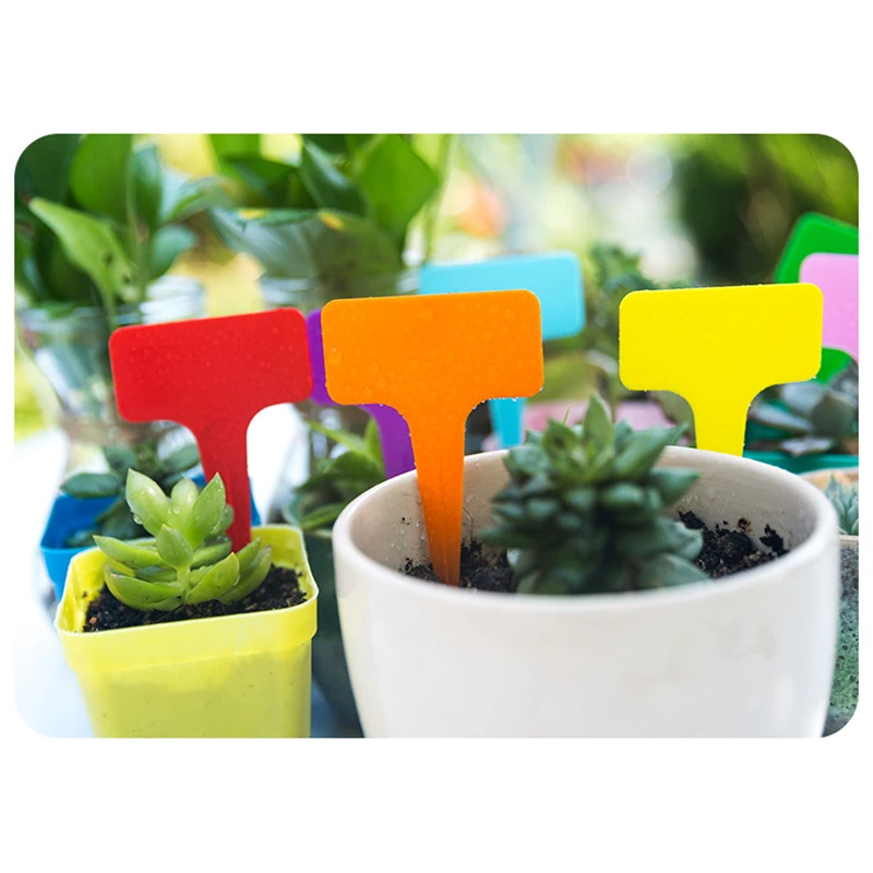 50pcs Plant Labels Plastic Garden Outdoor 6*10CM Accessories Set Waterproof Tools Parts Markers T-Type Gardening