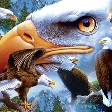 Полностью Квадратный бриллиант, 5D картина Летающий картина с изображением орла бриллиантами домашние декоративные поделки на заказ Алмазная вышивка водопад по доступной цене