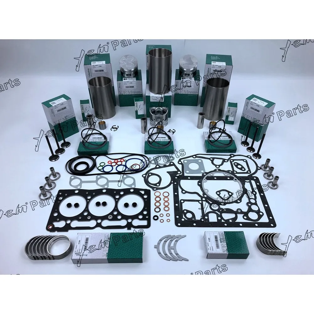 D1005 Engine Rebuild Kit With Gasket Kit Engine Valves Bearings Set For