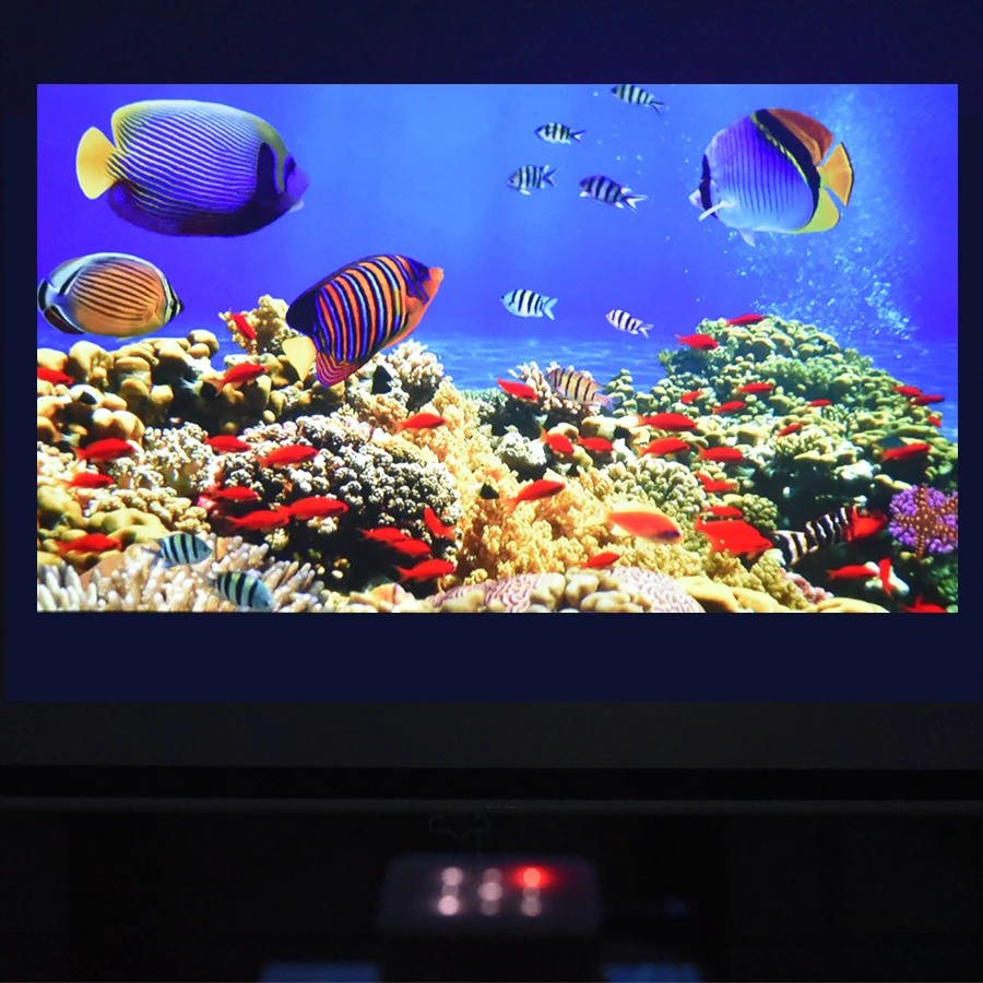 T5 pocket DLP projector (4)