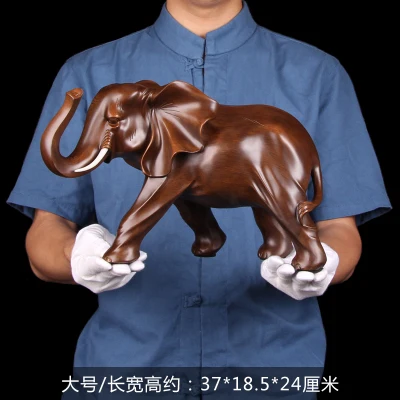 0   23CM - 