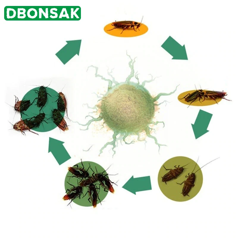 100 пакеты из зеленых листьев для борьбы с вредителями мощный уничтожение тараканов медицинский пестицидов убийца тараканов эффект световой вспышки разрушает приманки
