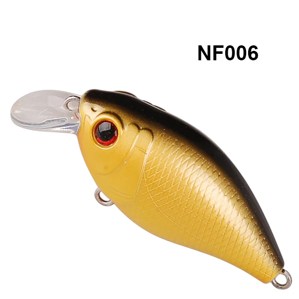 NF006