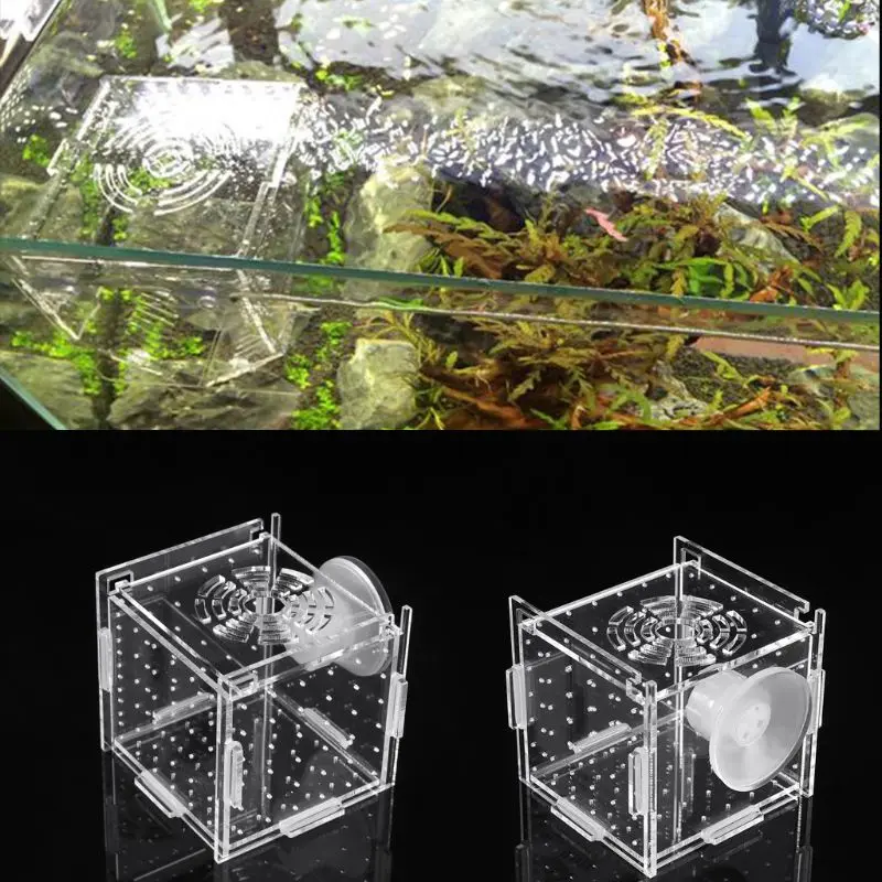 Для разведения рыб в аквариуме изолирующая коробка детский инкубатор для рыб люк Заводчик Аквариум