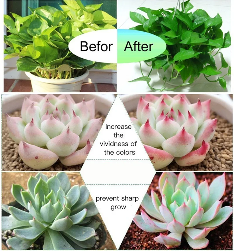 growth