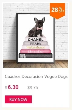 dianxiaobao