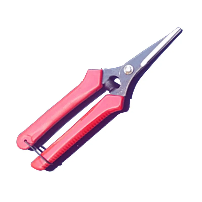 

Straight head bonsai garden scissor pruning scissor pruning scissor fruit clippings grape picking scissors