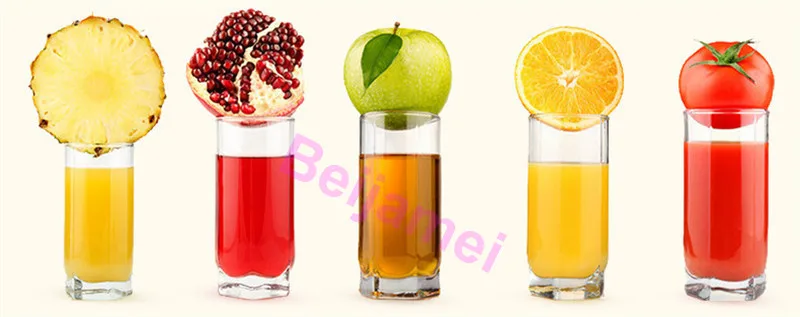 press juicer