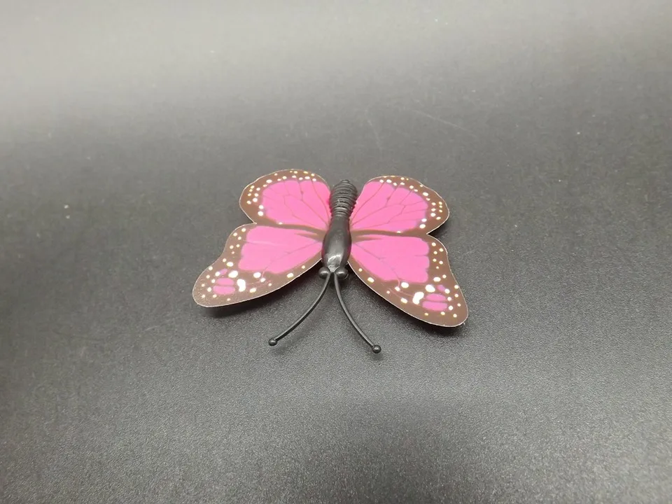 I249-Butterfly (8)