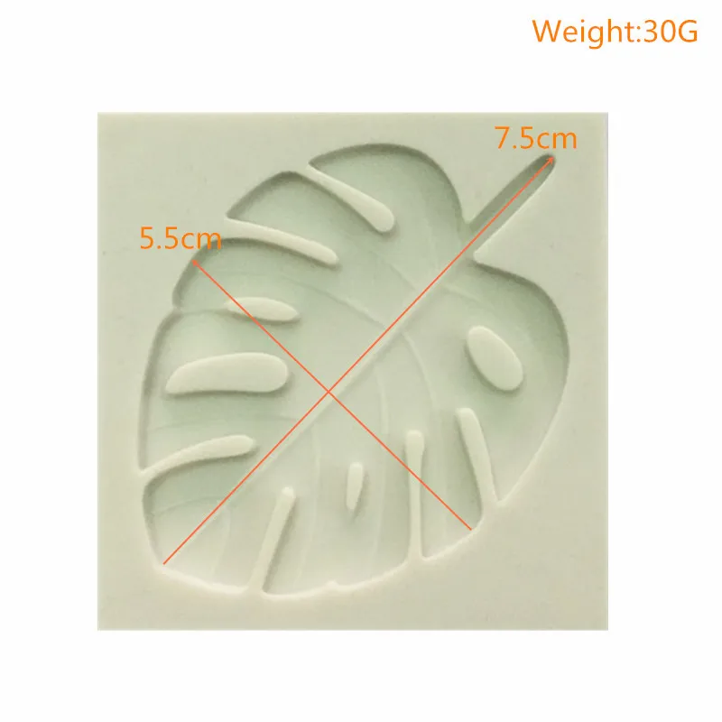 7501525372_282891928