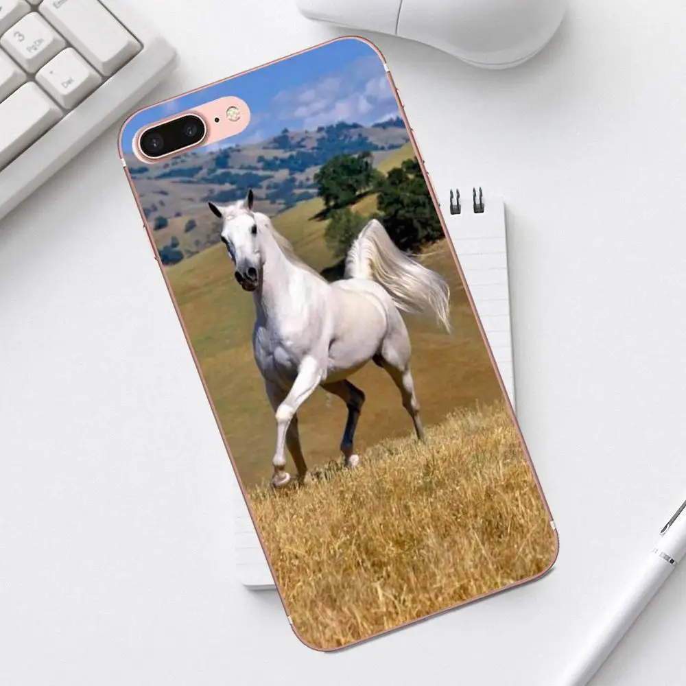 TPU Quinn Phone 2018 Enjoy Broncos Horse Running для iPhone 4 4S 5 5C SE 6 6S 7 8 Plus X XS Max XR Galaxy A3 A5 J1 J3 J5 J7 2017|Бамперы| |