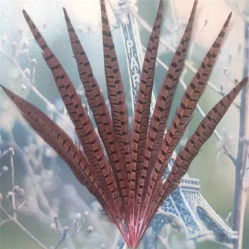 

100pcs pink Ringneck Pheasant Tail Feathers 35-40cm/14-16inch for Wedding Centerpieces Carnival Ornament DIY Gifts