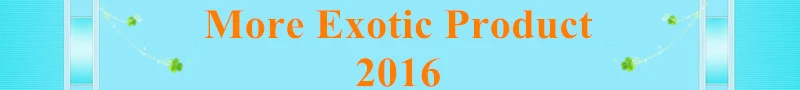 Новое поступление! 100 шт 13 сортов садовых овощей и красные желтые зеленые фиолетовые черные белые семена перца,#1ICEB2