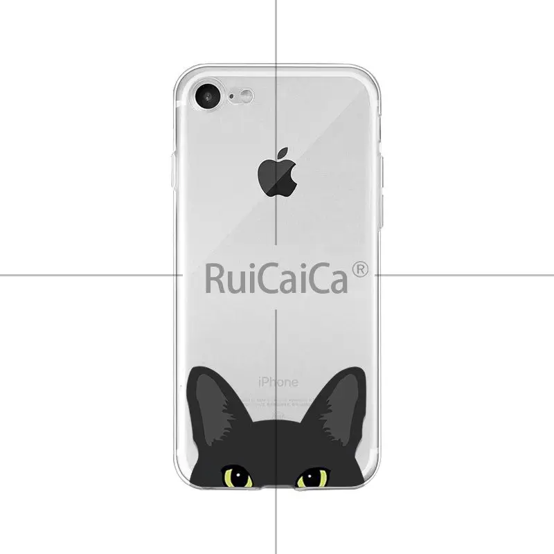 Cute and funny pet dog cat head