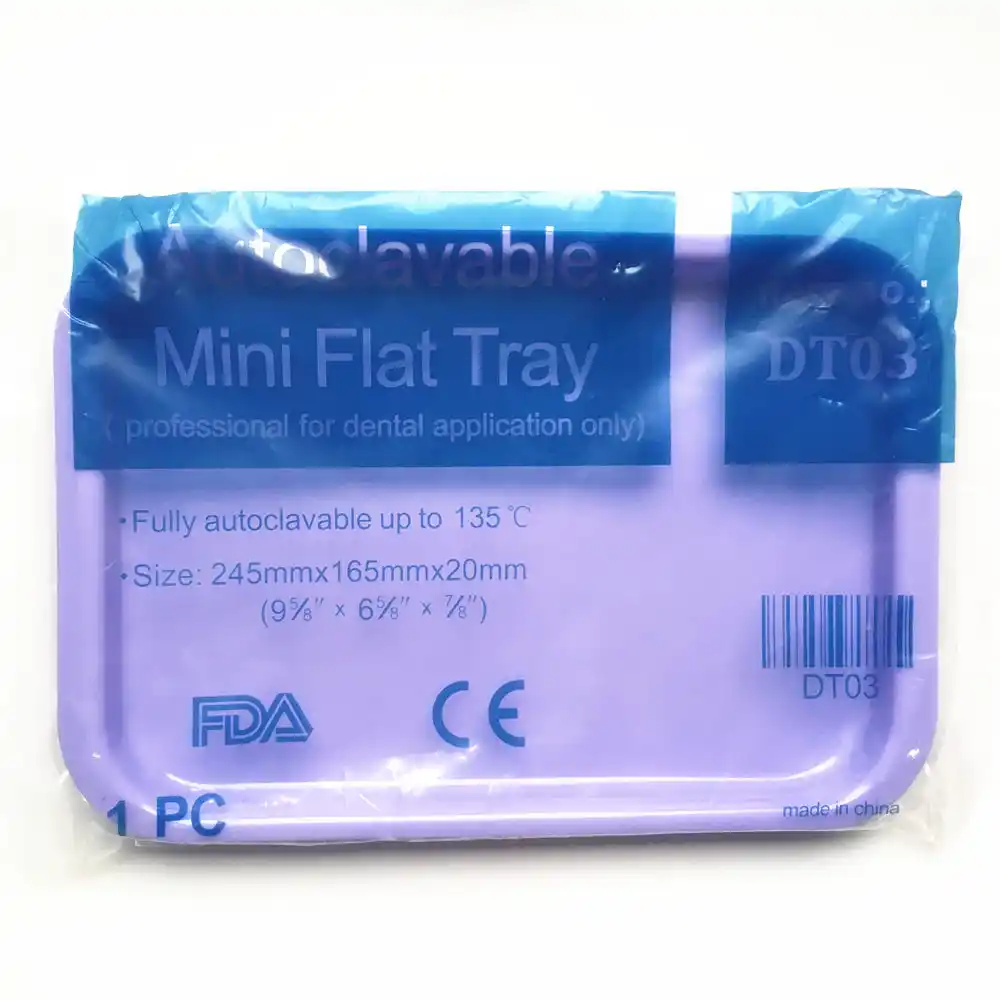 2 Pcs Dental Instrument Autoclavable Plastic Trays Mini Falt