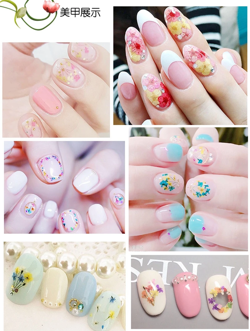 HTB1H4LXSpXXXXckapXXq6xXFXXXC