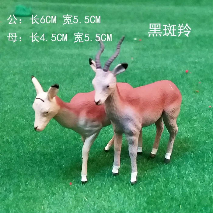 20180411_171848_000000000000