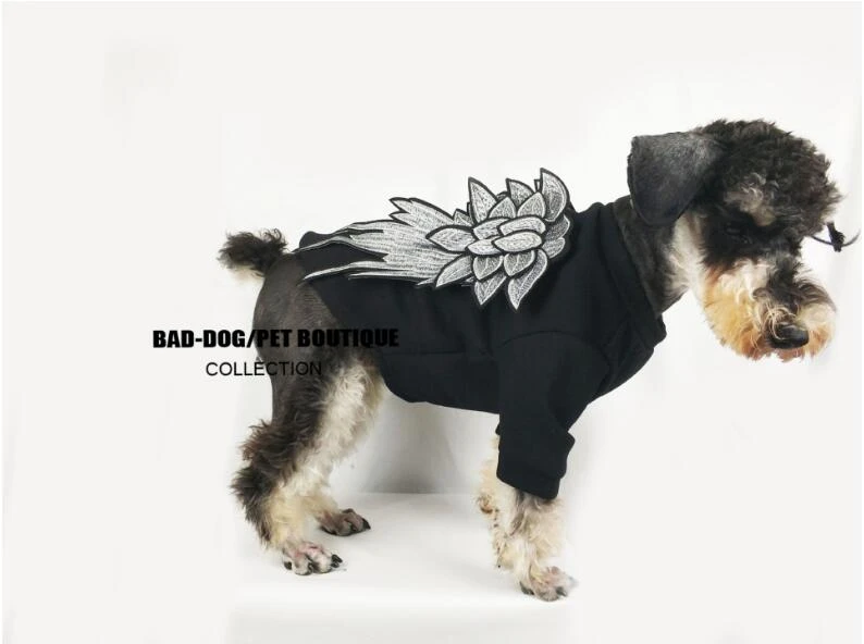 high fashion dog clothes