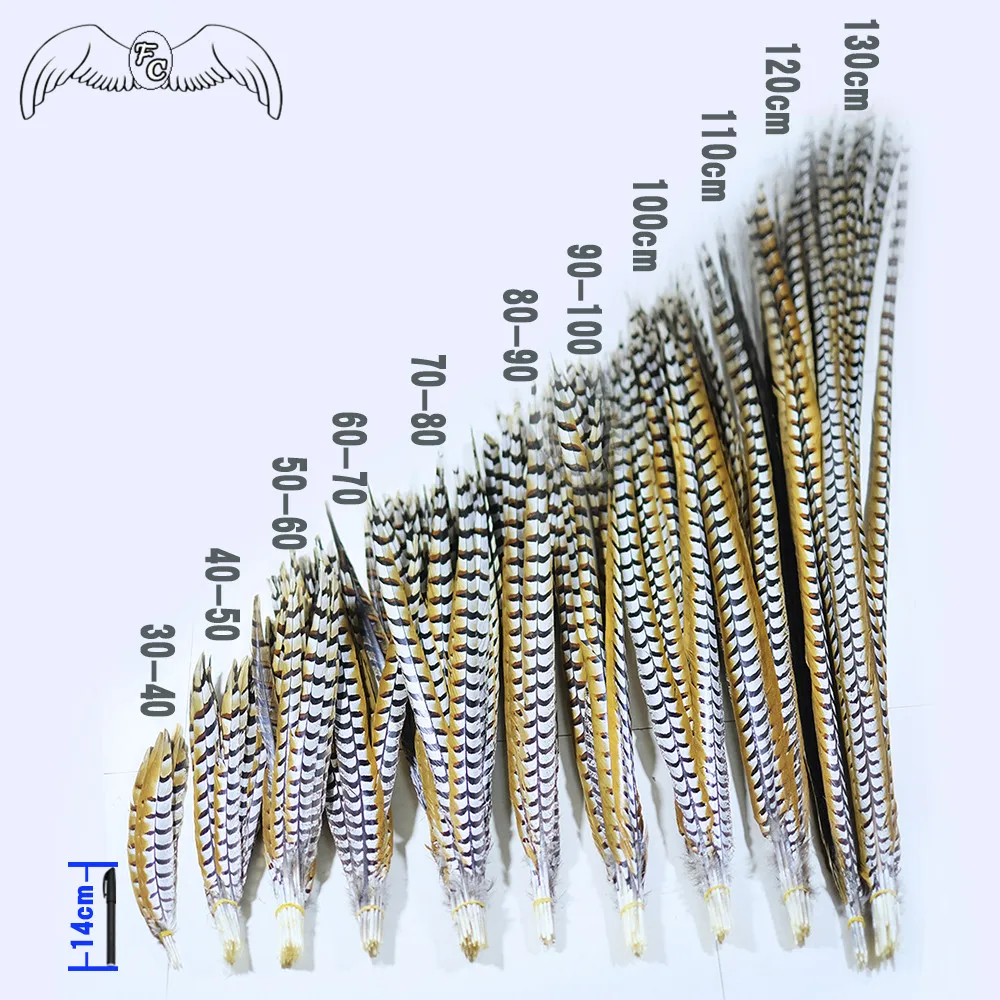 10 шт. натуральный перо фазана 30-150 см Reeve перо фазана для карнавального платья/Shamba Dnacer костюм/DIY Craft Deco