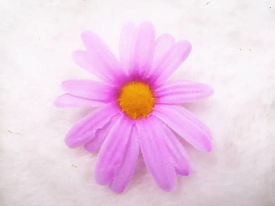 DSCN0461_