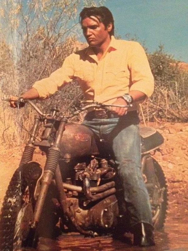 c8bcb342b75ccb5899c0735f97f625d1