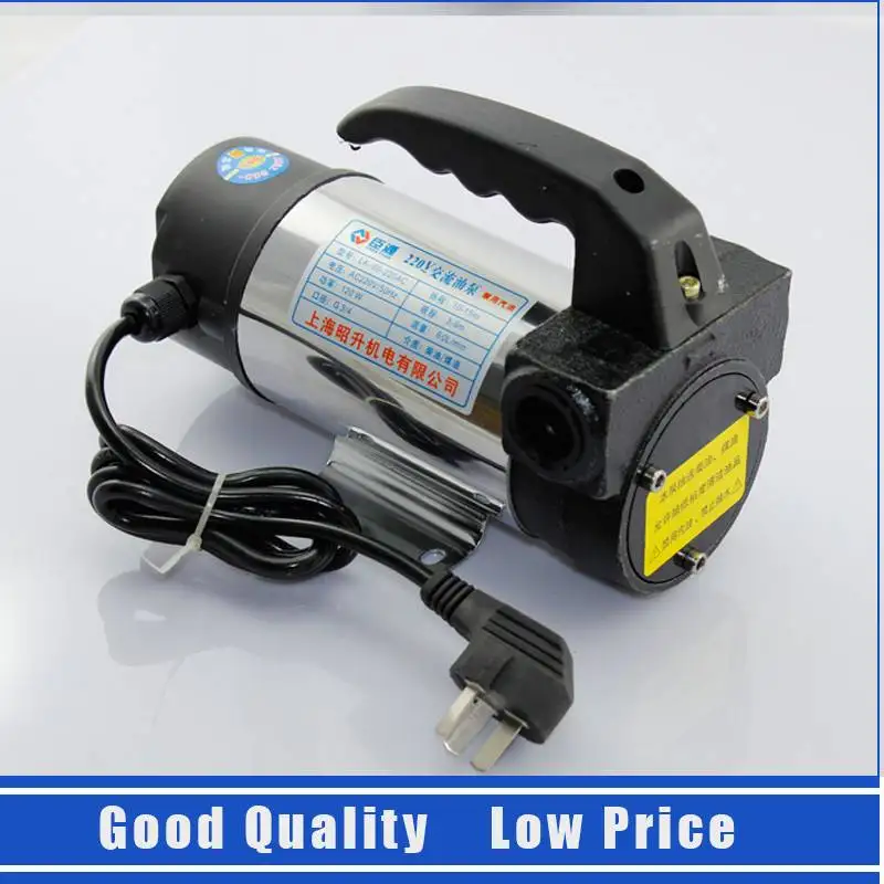 Portable Electric Oil Transfer Pump 220V Diesel Oil Pump in Pumps from