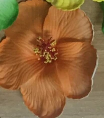 8 Cm Warna Campuran Busa Plumeria Rubra Tanpa Hairpin Kamboja