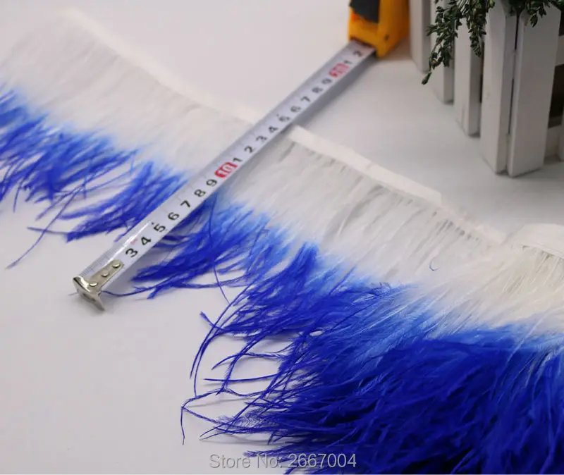950.800 bicolor ostrich feather trim white and blue 1