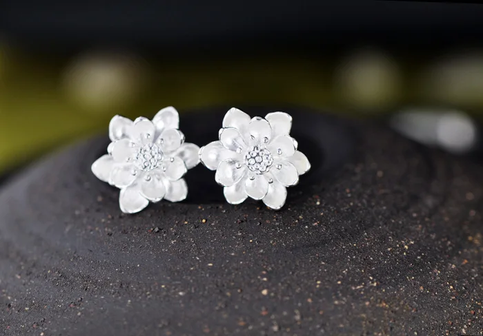 3690411189_2014429880