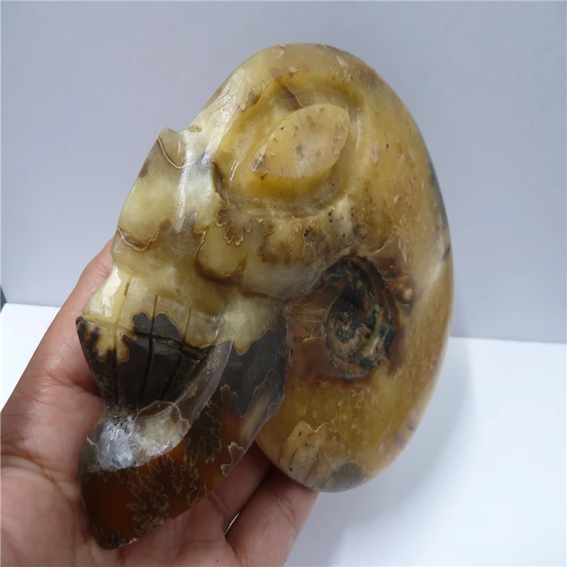 P1420131