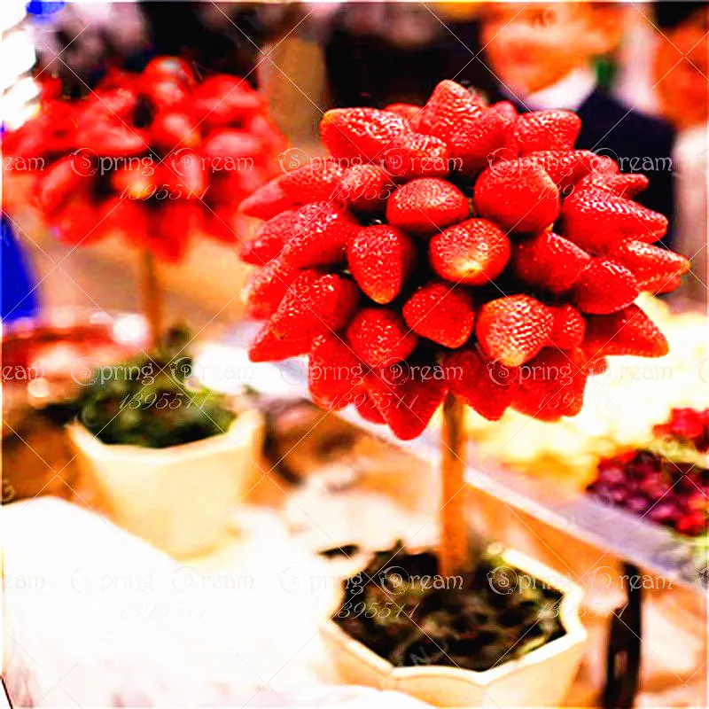 

600 Pcs Rare Tower-like Strawberry Bonsai Plants Dwarf Fruits Bonsai Planting Potted Sweet and Juicy Fruits for Home Garden