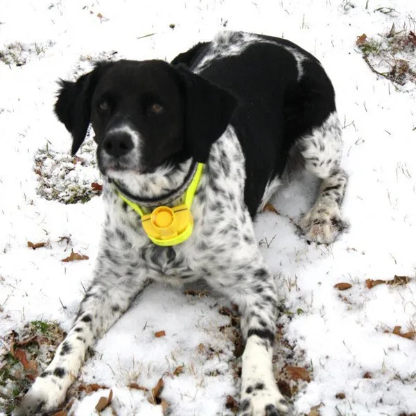 HTB1iZo2FVXXXXatXpXXq6xXFXXXF