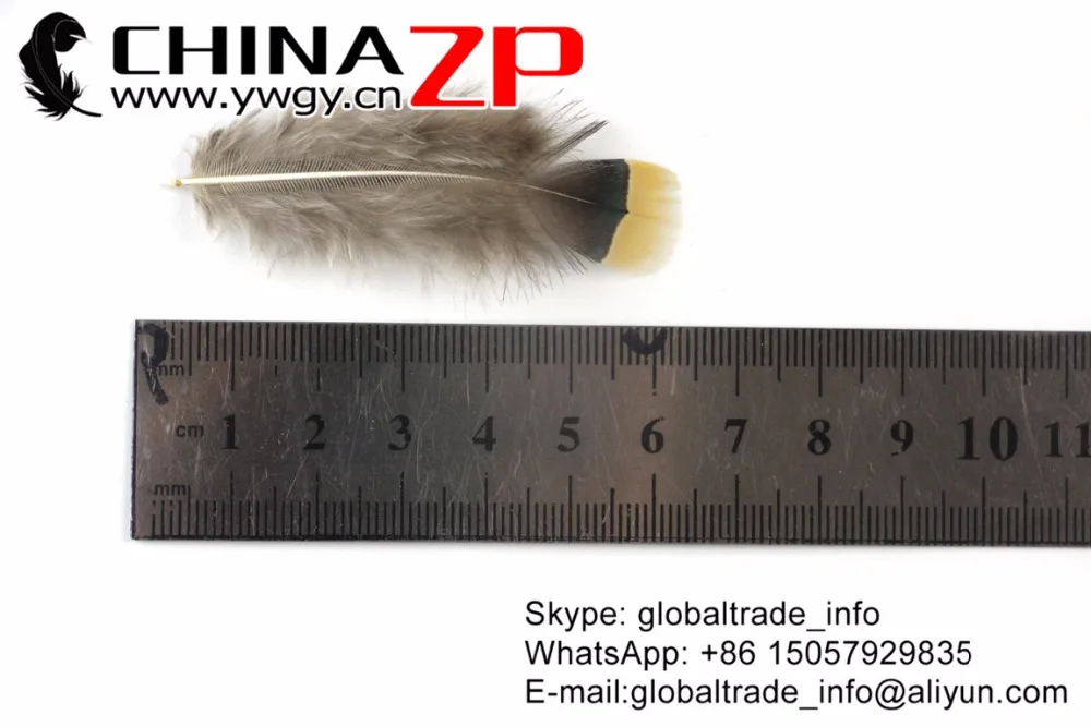 9 Natural  Lady Amherst Pheasant Plumage Wholesale Feathers (6)