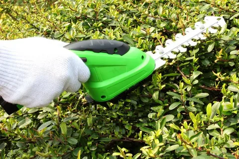 Cortador de Grama Cortador de Grama sem Fio Ferramentas de Jardim Leste Power Bonsai Ferramentas v Combo Li-ion Recarregável Hedge Trimmer sem Fio Et1205 2in1 3.6